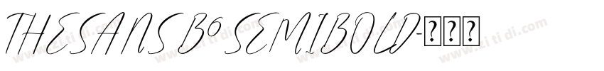 THESANS B6SEMIBOLD字体转换